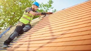 Best Roof Ventilation Installation  in Picacho Hills, NM
