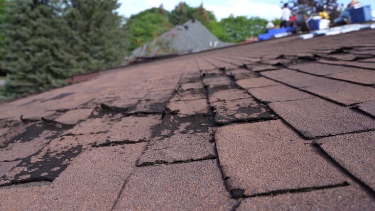 Best Asphalt Shingle Roofing  in Picacho Hills, NM