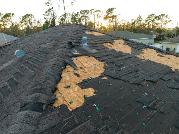 Best Asphalt Shingles Roofing  in Picacho Hills, NM